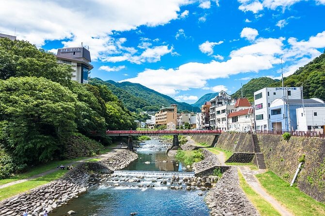 Hakone 8 hour Private Tour with Government-Licensed Guide - Price and logistics: is $201.46 per person good value?