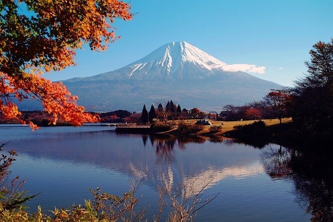 Hakone 8 hour Private Tour with Government-Licensed Guide - Weather and Mt. Fuji: manage expectations, not the day