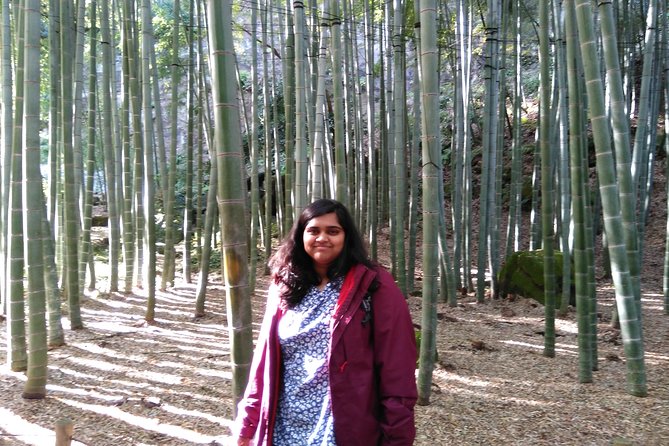 Kamakura 4hr Private Trip with Government-Licensed Guide - Hasedera Temple: viewpoints and the Kannon focus