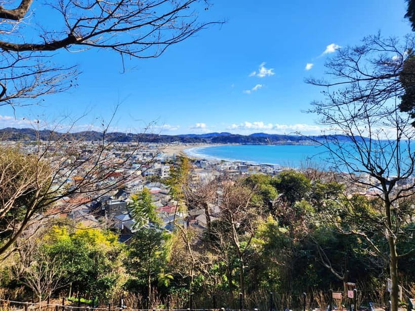 Kamakura Private & Customizable Tour - All-in-One Experience - Food and local stops: where the guide’s judgment helps