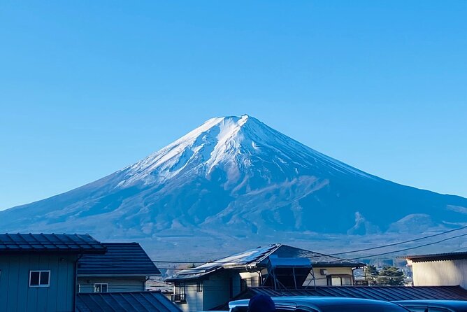 Majestic Mt. Fuji & Hakone Retreat –A Private Day Tour from Tokyo - Mt. Fuji 5th Station (optional): worth considering when the weather cooperates