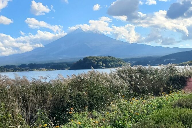 Majestic Mt. Fuji & Hakone Retreat –A Private Day Tour from Tokyo - Lake Kawaguchiko: where the views meet options