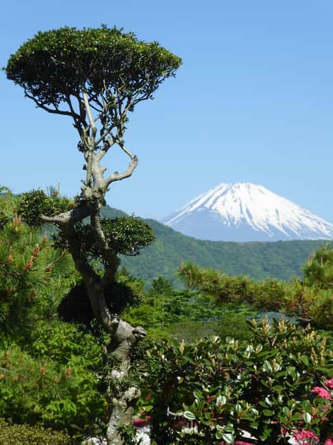 Mount Fuji: Customizable Private Tour By Car With Pickup - Chureito Pagoda and Oishi Park: the photo stops you’ll actually remember