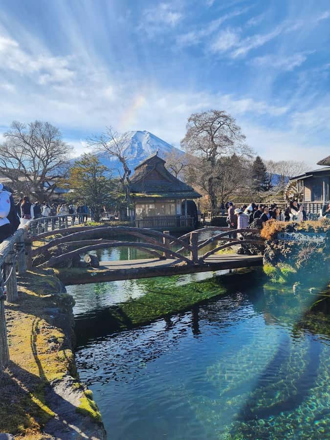 Mount Fuji Full-Day Private Sightseeing Tour with Guide - Private Mount Fuji Tour From Tokyo: The Real Value Is Control