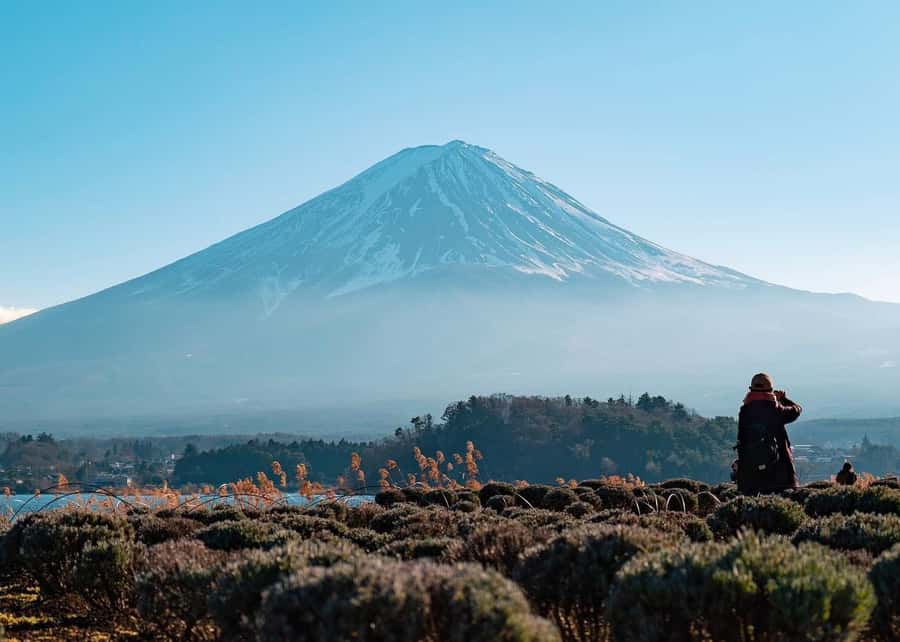Mount Fuji Full-Day Private Sightseeing Tour with Guide - Your Pickup Day in Tokyo: Door-to-Door Without the Headache