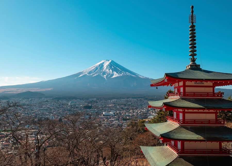 Mount Fuji Full-Day Private Sightseeing Tour with Guide - The Fuji “Plan A / Plan B” System: 5th Station When Possible