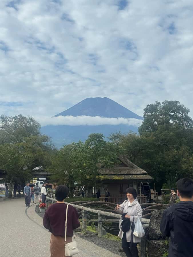 Mount Fuji Full-Day Private Sightseeing Tour with Guide - Chureito Pagoda and Arakura Sengen Shrine: Classic Angles, Smarter Timing