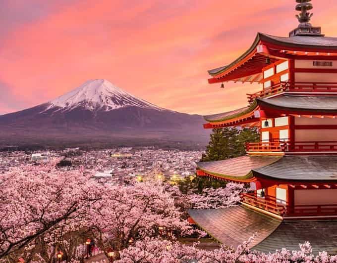 Mount Fuji Full-Day Private Tour from Tokyo (Customizable) - A Private Ride Out of Tokyo That Lets You Run the Day