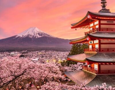 Mount Fuji Full-Day Private Tour from Tokyo (Customizable) - Timing Is the Secret Ingredient (and 6 a.m. Comes Up for a Reason)