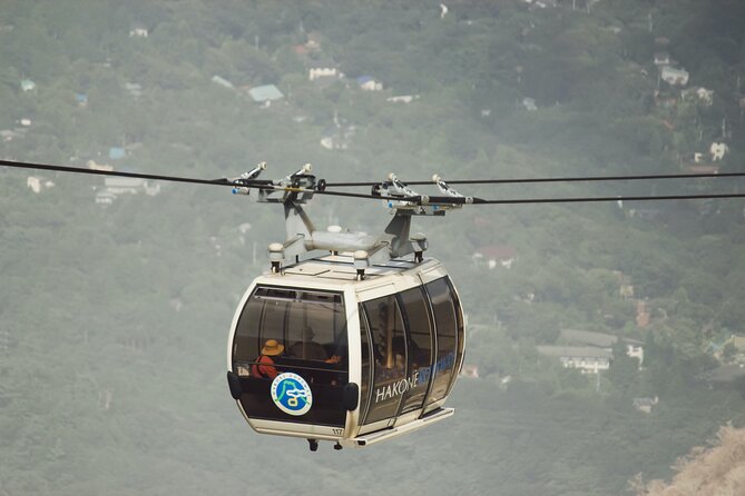 Mount Fuji, Hakone & Lakekawaguchiko Private Group Tour by Car. - Oshino Hakkai and Lake Yamanaka: old village scenes and swan time