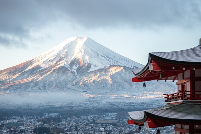 Mount Fuji, Hakone & Lakekawaguchiko Private Group Tour by Car. - Price, inclusions, and what costs you should expect