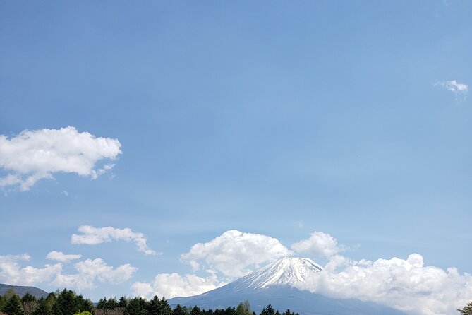 Mount Fuji, Hakone & Lakekawaguchiko Private Group Tour by Car. - Should you book this private Mount Fuji group tour?