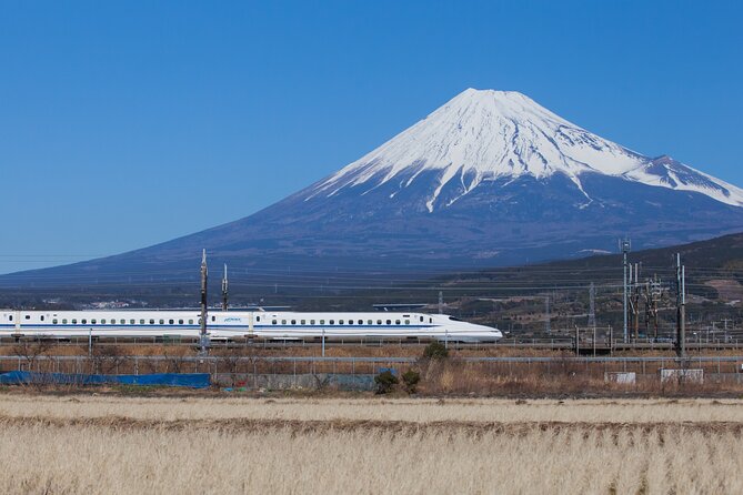 Mt. Fuji and Hakone Day Trip From Tokyo with Bullet Train Option - The smart way to do Fuji and Hakone from Tokyo