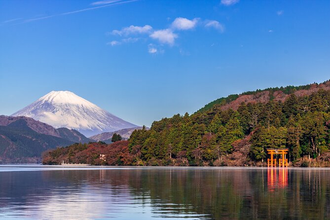 Mt. Fuji and Hakone Day Trip From Tokyo with Bullet Train Option - Owakudani Valley: sulfur vents and a real sense of the volcano