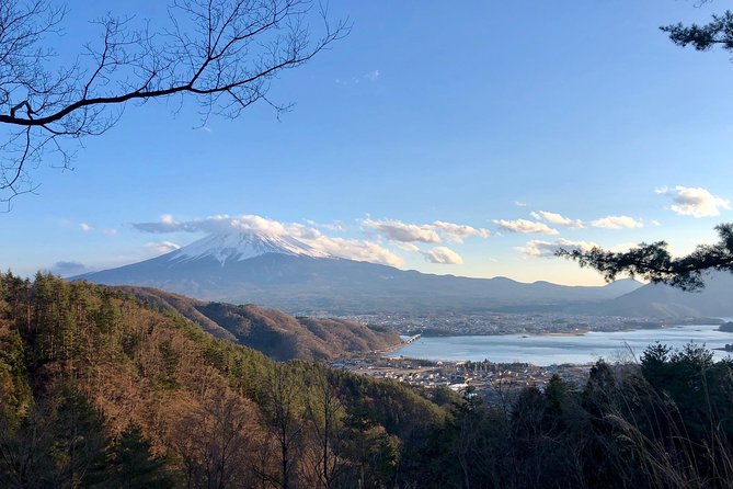 Mt Fuji Area Private Guided Tours in English-Nature up close, quiet, personal - Asama Shrine’s Ancient Cedars: A Different Kind of Fuji Warm-Up