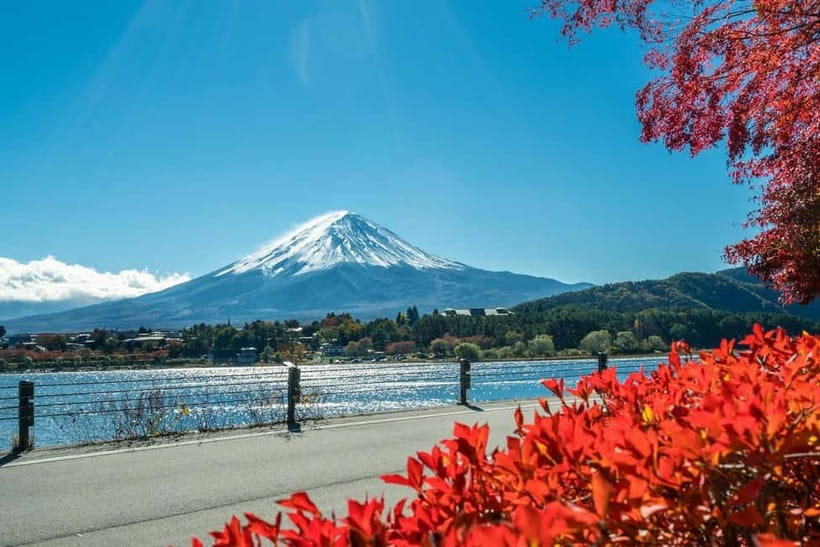 Mt.Fuji Hakone Day Tour With Lake Ashi Cruise, FREE Ropeway - Oshino Hakkai: eight ponds, thatched houses, and pure spring clarity