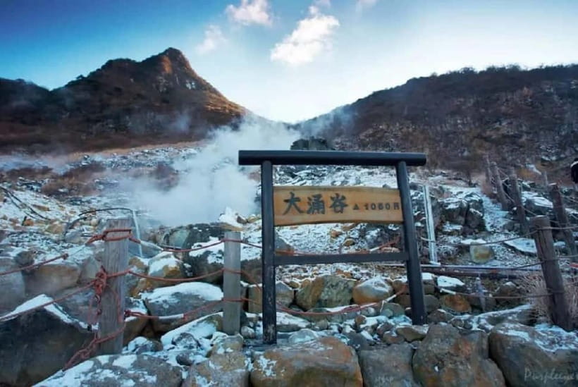 Mt.Fuji Hakone Day Tour With Lake Ashi Cruise, FREE Ropeway - Price and budgeting: where your $58 turns into a real day