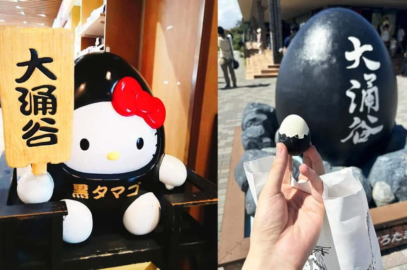 Mt Fuji Hakone/Enoshima Tour:Optional Ropeway/Lake Ashi Boat - The schedule reality: what 10–11 hours feels like