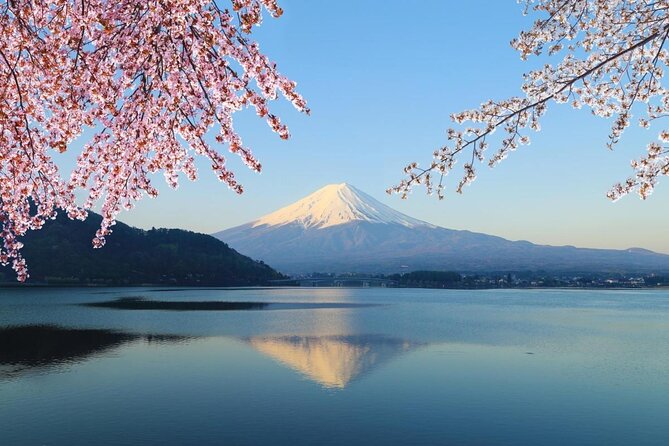 Mt. Fuji & Hakone Private Day Tour with English-Speaking Driver - Key Things To Know Before You Go