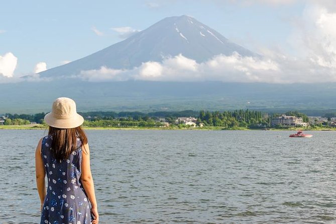Mt. Fuji & Hakone Private Day Tour with English-Speaking Driver - Should You Book This Private Mt. Fuji & Hakone Day Tour?