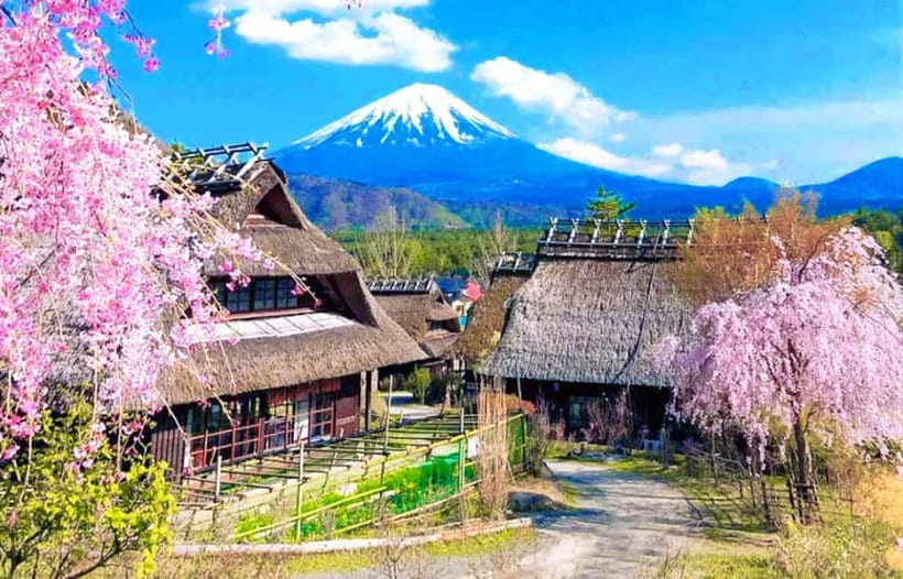 Mt. Fuji Heritage Tour: Traditional Villages, Lakes & Shrine - A 10-hour Fuji day from Tokyo: how the pace and timing feel