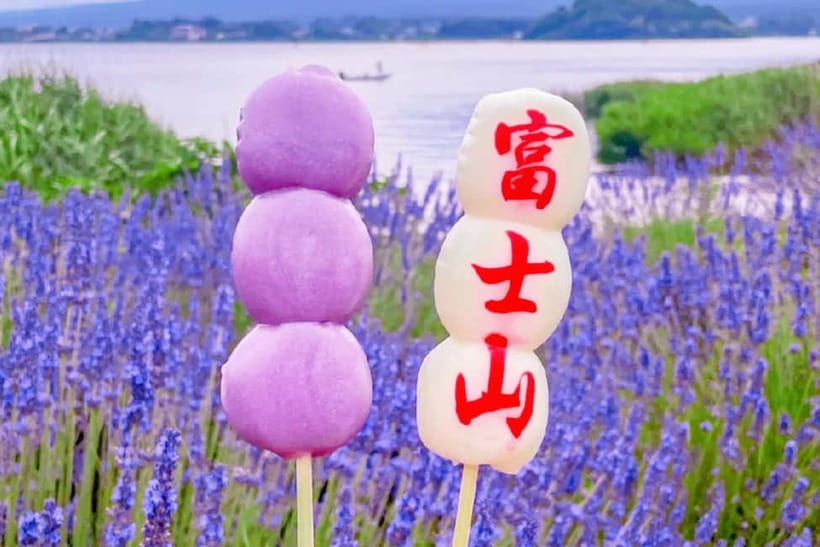 Mt. Fuji Heritage Tour: Traditional Villages, Lakes & Shrine - Lunch break reality: what to eat and how to plan without stress