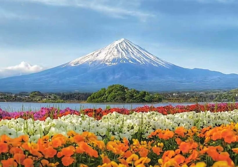 Mt. Fuji Heritage Tour: Traditional Villages, Lakes & Shrine - Oshino Hakkai: quiet spring ponds, reflections, and local treats