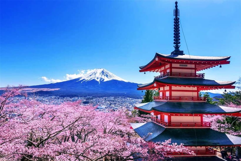 Mt. Fuji Heritage Tour: Traditional Villages, Lakes & Shrine - What makes this tour feel worth it: the guide and the organization