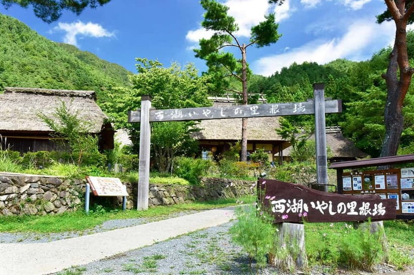 Mt. Fuji Heritage Tour: Traditional Villages, Lakes & Shrine - Saiko Iyashi no Sato Nenba: thatched houses, snack breaks, and easy Fuji framing