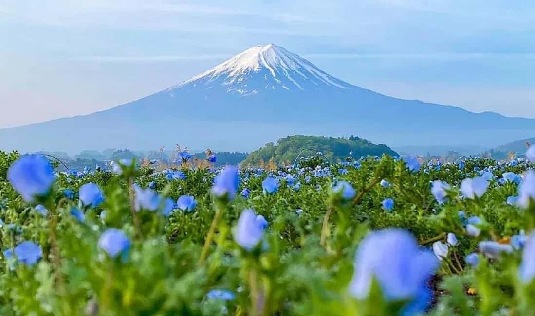 Mt. Fuji & Lake Kawaguchiko Ropeway Panorama Full-Day Tour - A 10-hour Fuji day from Tokyo, priced like convenience