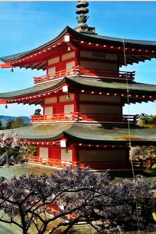 Mt Fuji Sightseeing Private tour with English Speaking Guide - Aokigahara forest stop: a short walk and manageable timing