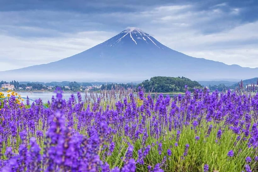 Mt Fuji Top 5 Spots Day Tour: Arakurayama Park,Oshino Hakkai - Timing Matters: Getting Fuji Views Without the Stress