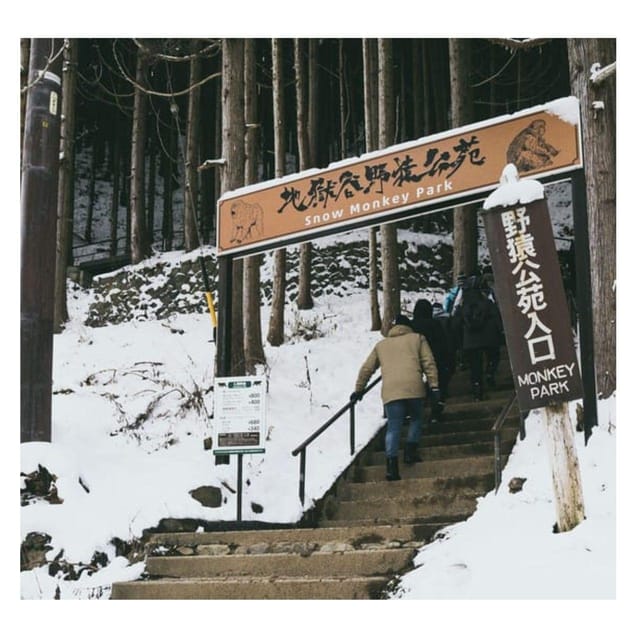 Nagano Tokyo: Snow Monkey Private Day Tour Hotel Pick & Drop - Getting around Nagano: how the driver keeps the day on track