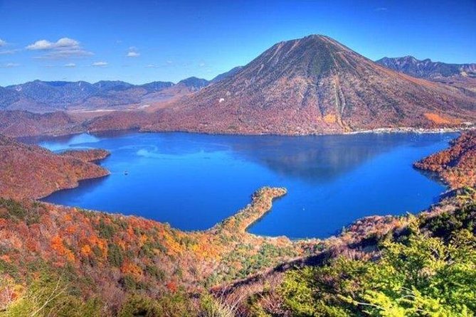 Nikko Full-Day Private Tour with Government-Licensed Guide - Getting Around: Buses, Taxis, and Avoiding Time Traps