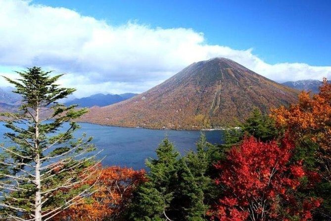 Nikko Full-Day Private Tour with Government-Licensed Guide - What Makes This Feel Worth It (Even When You Skip a Stop)