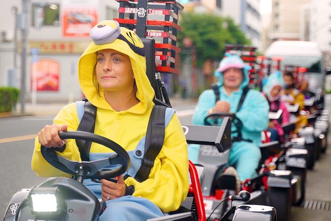 Official Japan Go-Kart Through Tokyo Bay / Ginza (IDP Required) - Price and what $85.89 buys you (and what it doesn’t)
