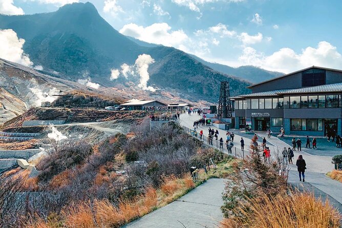 Private Fuji Hakone Tour Charter with English Speaking Driver - Price and value: what $383.19 per group really buys