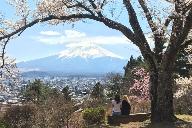 Private guided hidden gems tour by local English speaking driver - Private Fuji Time With Taka: What This Tour Feels Like