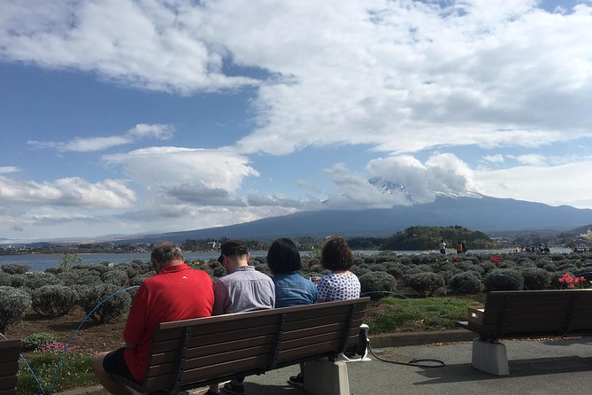 Private guided hidden gems tour by local English speaking driver - Lava Caves and the Aokigahara Jukai Forest: Wear the Right Shoes
