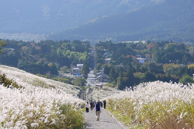 Private Tour - Hakone Day Trip! A Tour to Explore All Must-Sees! - cu-mo Hakone at 757 meters: a viewpoint plus a footbath chance