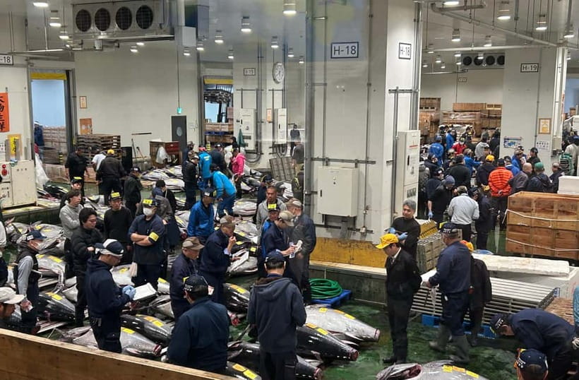 Private Toyosu & Tsukiji Market Adventure with Tuna Auction - Key things to know before you go