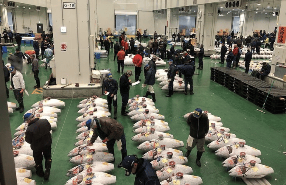 Private Toyosu & Tsukiji Market Adventure with Tuna Auction - The private guide effect: less confusion, better timing, smarter choices