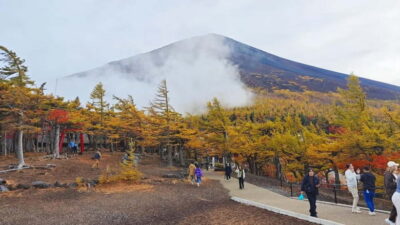 [Seasonal Limited] Mt. Fuji 5th Station &Hot Spring Day Tour - Getting Started in Tokyo: Pickup Options and the Bus Reality