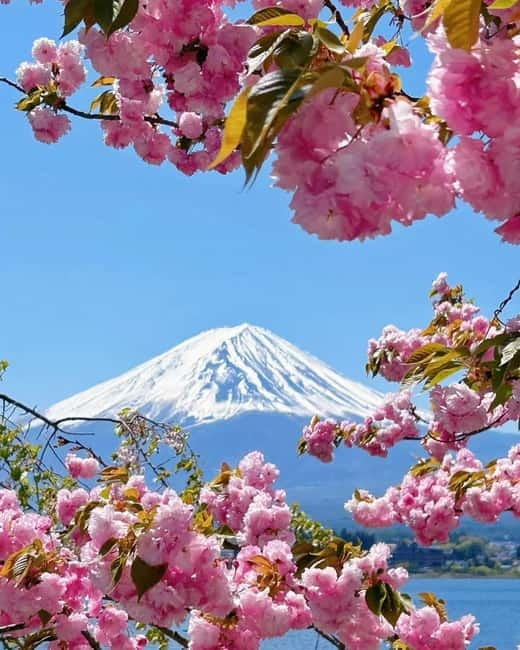 [Seasonal Limited] Mt. Fuji 5th Station &Hot Spring Day Tour - Gotemba Premium Outlets: When Shopping Replaces Onsen Time