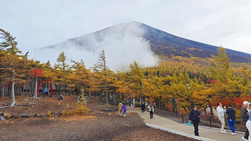 [Seasonal Limited] Mt. Fuji 5th Station &Hot Spring Day Tour - Getting Started in Tokyo: Pickup Options and the Bus Reality