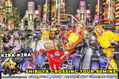 Shibuya Crossing x Tokyo Tower and more! Go-Kart Tour - Driving legally in Japan: bring the right IDP or skip this