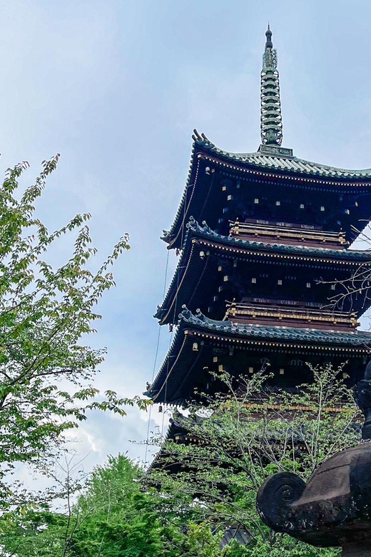 Tokio A: Tour de la ciudad en Español - Spanish - Kabukicho and the Golden Gai Area: Neon Night Energy at Day’s End