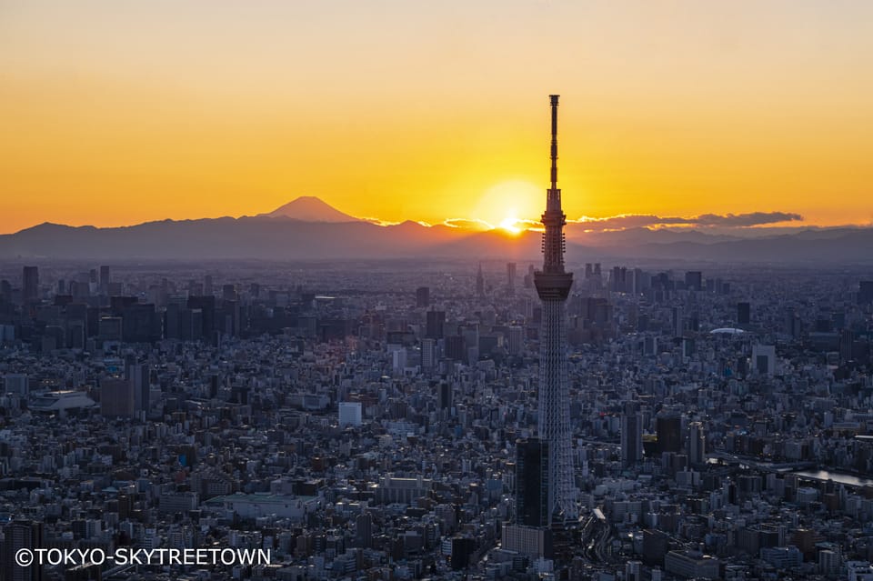 Tokyo: 1 Day Bus Tour with Meiji-Jingu,Odaiba,lunch&Skytree - One day, four Tokyo neighborhoods: why this route makes sense