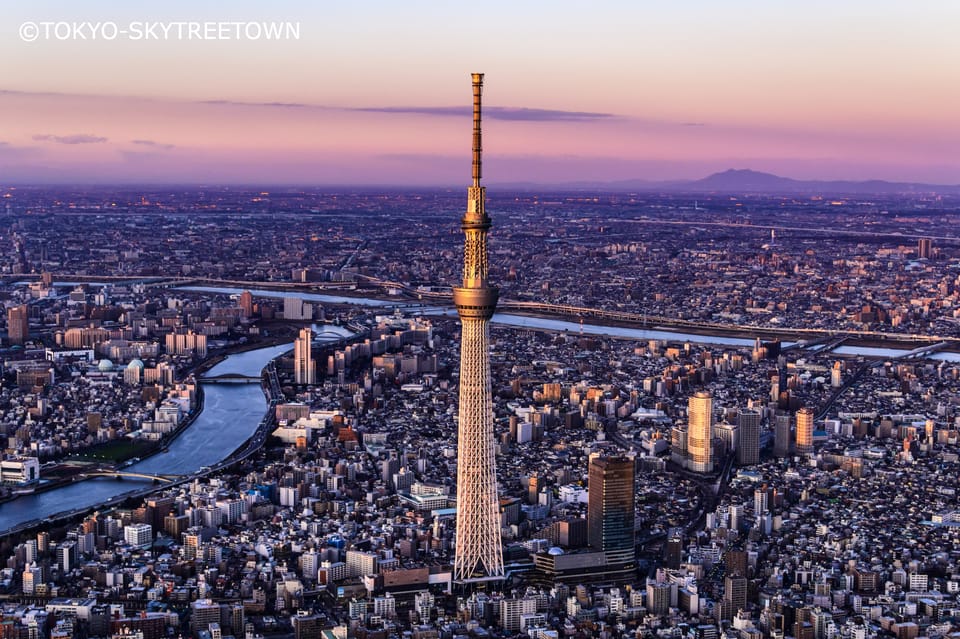 Tokyo: 1 Day Bus Tour with Meiji-Jingu,Odaiba,lunch&Skytree - Meiji-Jingu: torii gates and a rare quiet hour in the city