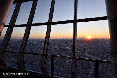 Tokyo: 1 Day Bus Tour with Meiji-Jingu,Odaiba,lunch&Skytree - Meeting in Shinjuku or Tokyo Station: how to start without stress
